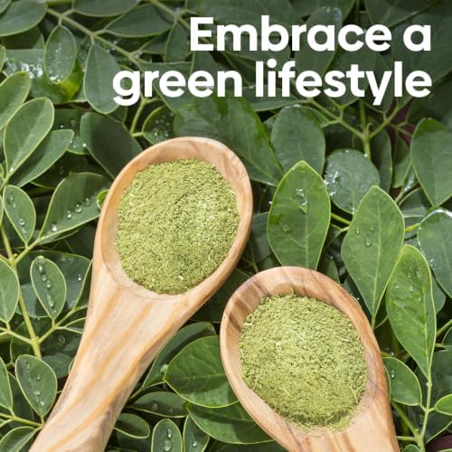 Groundio Moringa Seeds 2Oz, Non-GMO PKM1+ Moringa Oleifera for Planting - Image 7