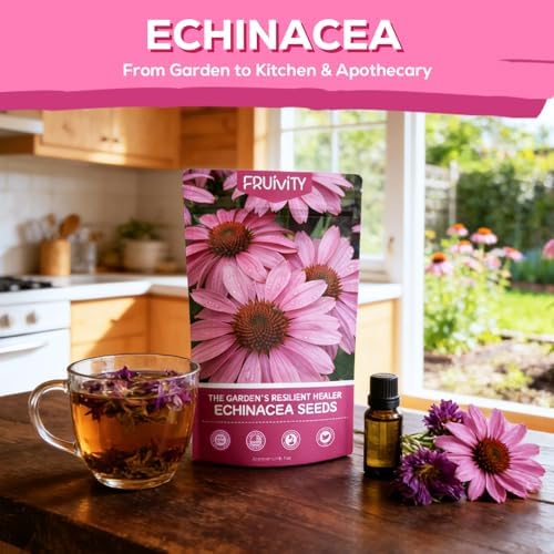 Coneflower Seeds 1 oz (Over 10,000+ Seeds) – Echinacea Seeds for Planting, Heirloom Perennial Flower Seeds, Easy to Grow for Pollinators, Flower Seeds to Plant Outside for Indoor & Outdoor Garden - Image 2
