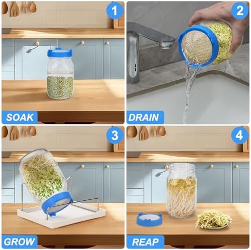 Lulonpon Sprouting Kit, 2 Sprouting Jar Kits, Wide Mouth Quart Mason Jars with Stainless Steel Screen Sprout Lids,1000ml Sprouts Growing Kit, Seed Sprouter Set for Growing Broccoli, Bean, Alfalfa - Image 2