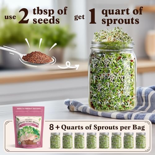 Seedboy Organic Non-GMO Sprouting Seeds (Daikon Radish) - Image 2