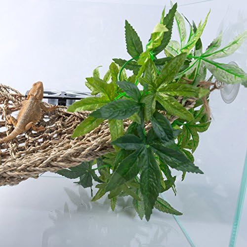 SLSON Reptile Plants Hanging Silk Terrarium Plants with Suction Cup for Bearded Dragons,Lizards,Geckos,Snake Pets and Hermit Crab Tank Habitat Decorations,Small Size,12 inches - Image 6