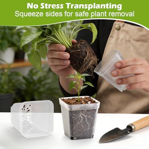 RooTrimmer 2.7 Inch Square Nursery Pots, 60 Packs Clear Seedling Pots with Drainage Holes, Reusable Propagation Pots Small Plant Container for Indoor Outdoor Gardening - Image 6