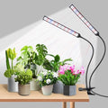 Indoor Clip-on Plant Growth Light, Full Spectrum Grow Light with 156 LEDs, Flexible Gooseneck and 4/8/12H Timer, 3 Spectral Modes, 10 Levels of Dimming, Suitable for Seedlings and Succulent Seeds by Hywyimlait