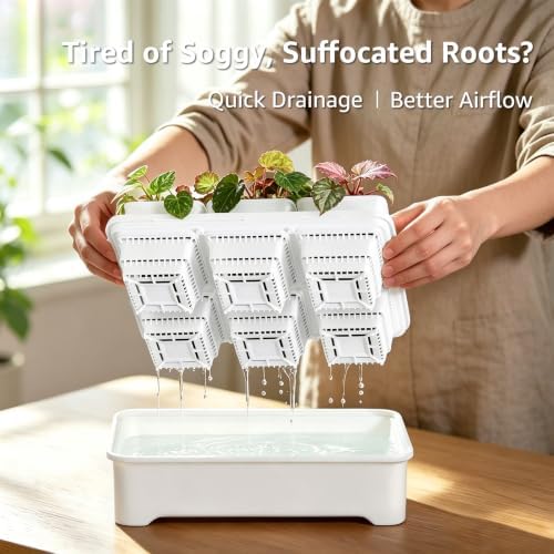 Seed Starter Tray Kit with Adjustable-Vent Humidity Dome & Air‑Pruning Cells, Reusable Plant Germination Trays with Superior Air & Drainage, Removable Cells for Flexible Transplanting, 6‑Cell - Image 4