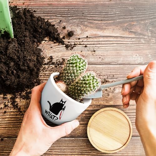 Funny Black Cat Plant Pot for Succulent, Cactus Flower Planter for Indoor Plants, Unique Succulents Pots with Drainage, Cats Owner Gifts, Home Desk Decor Planter Gift for Cat Lover (No Plants) - Image 6