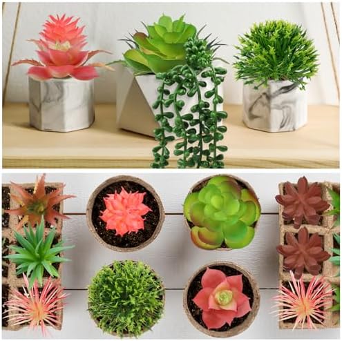 QUOZUO Succulents Plants Artificial, 14pcs Colorful Succulents Plant, Mini Fake Succulents for DIY Crafting Home Garden Office Party - Image 4