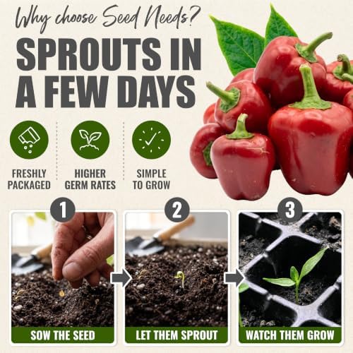 Seed Needs Mini Red Bell Pepper Seeds to Plant Vegetables - 10 Packs - Image 5