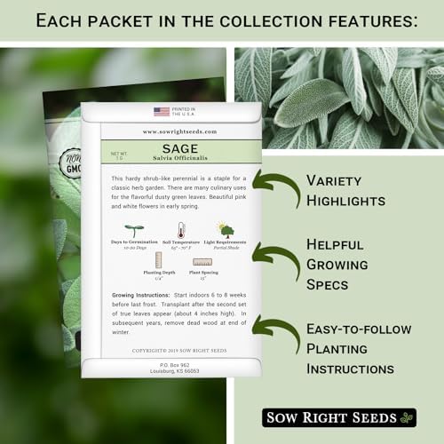 Sow Right Seeds - Italian Herb Seed Collection for Planting Home Garden - Image 2