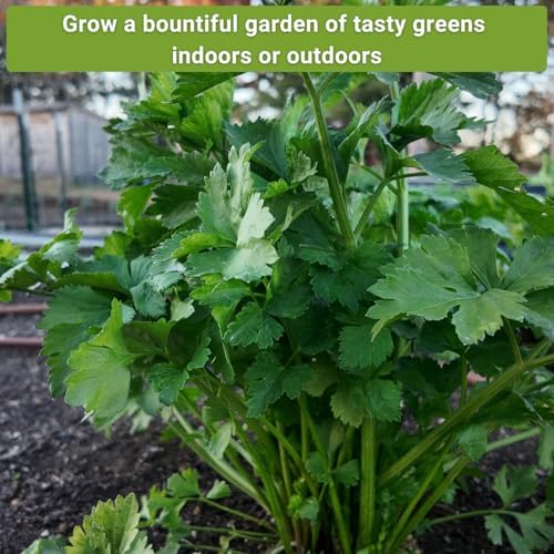 Sow Right Seeds - Asian Greens Seed Collection for Planting Home Garden - Image 5