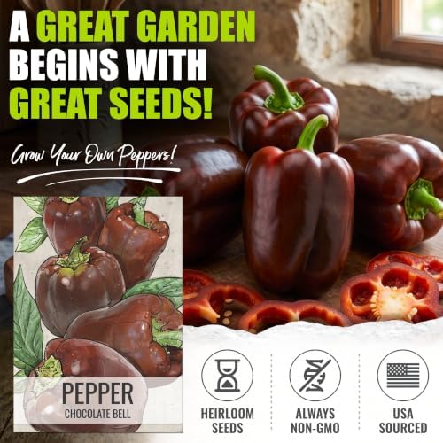 Seed Needs Sweet Chocolate Bell Pepper Seeds to Plant Vegetables - 10 Packs - Image 2