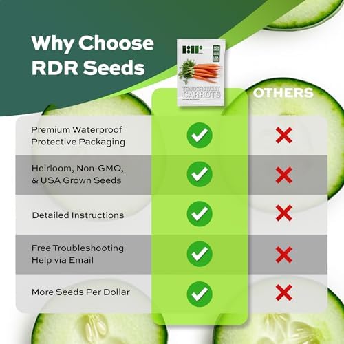1000 Tendersweet Carrot Seeds for Planting - Heirloom, Non-GMO, USA Grown - By RDR Seeds - Image 6