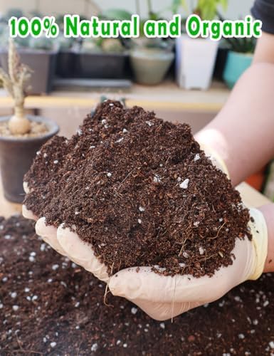 TOYPOPOR Potting Soil for All Indoor Houseplants, (6qt) Contains Perlite, Peat Moss, Coco Coir, Rice Charcoal, Well Draining Potting Mix Light, Aerated Texture for Healthy Plant Roots, Fast Growth - Image 2