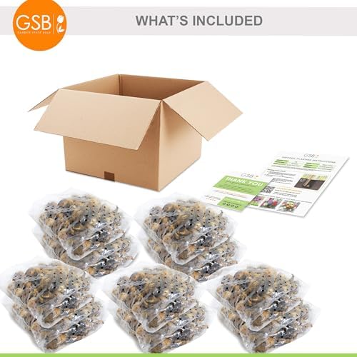 Garden State Bulb All-in-One Mixed Daffodil Flower Bulbs, 12/14cm, Fall Planting (Bag of 50) - Image 7