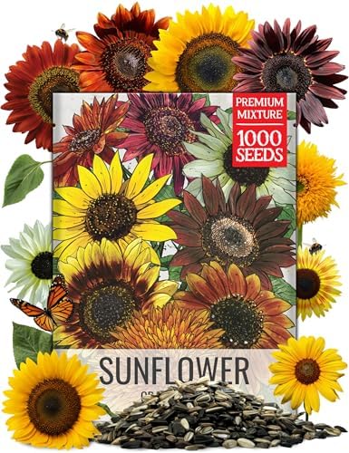 Seed Needs Sunflower Seeds to Plant Original Crazy Blend 1 Ounce Bulk Pack by SeedNeeds