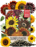 Seed Needs Sunflower Seeds to Plant Original Crazy Blend 1 Ounce Bulk Pack by SeedNeeds