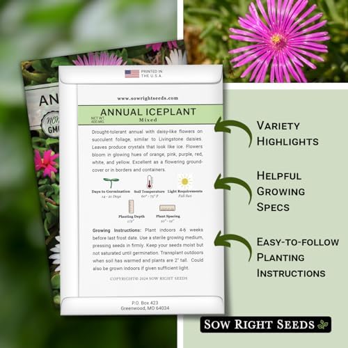 Sow Right Seeds - Mixed Annual Ice Plant Seed for Planting Flower Garden - Image 2