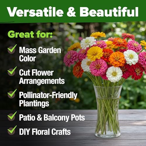 HOME GROWN Zinnia Seeds, Pumila Mix, 17,000 Seeds, Zinnia elegans - Image 4