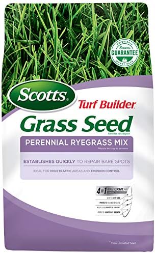 Scotts Turf Builder Grass Seed Perennial Ryegrass Mix, Ideal for High Traffic Areas and Erosion Control, 7 lbs. by Unknown