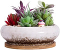 Bonsai Pots, 7.3 Inch Large Succulent Pots with Drainage Shallow Plant Pots by ARTKETTY