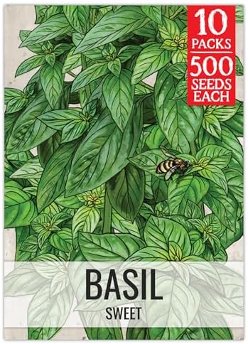 Seed Needs Genovese Sweet Basil Seeds to Plant an Herb Garden - 10 Packs by SeedNeeds