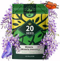 Wisteria Seeds for Planting Outdoor, Perennial Vine Fragrant Purple Flowers by Unknown
