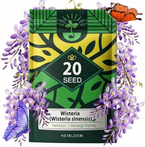 Wisteria Seeds for Planting Outdoor, Perennial Vine Fragrant Purple Flowers by Unknown