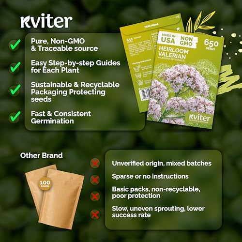 650 Valerian Heirloom Herb Seeds for Planting, Valeriana Officinalis - Image 5