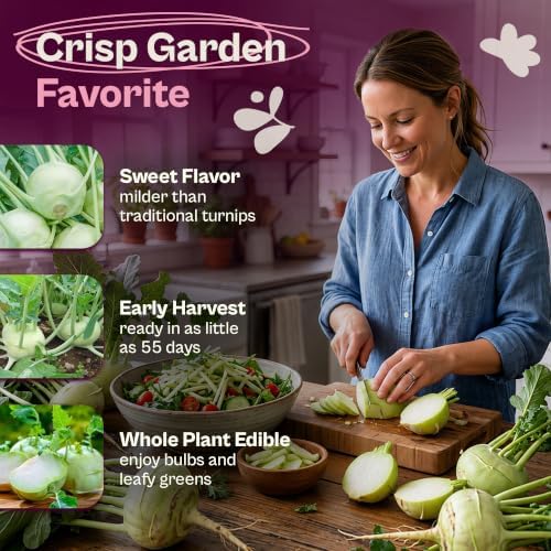 SVI 750 Early White Vienna Kohlrabi Heirloom Seeds Brassica oleracea - Image 3