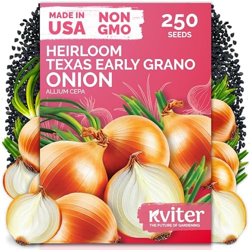250 Texas Early Grano Onion Heirloom Vegetable Seeds, Allium Cepa by KVITER