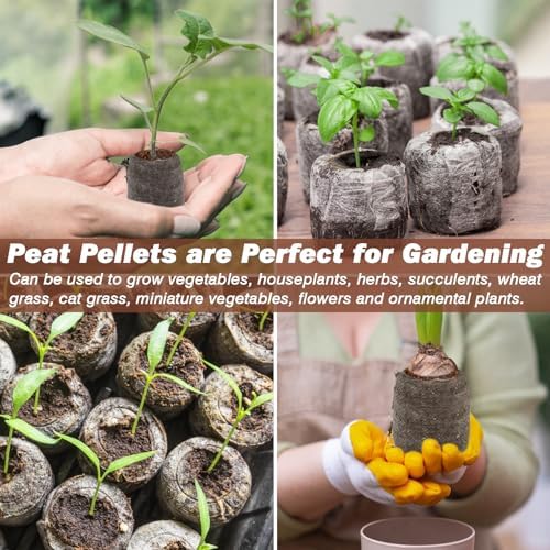 ZeeDix 55Pcs 36mm Organic Seed Starter Peat Pellets - Image 5
