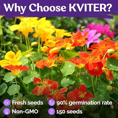 150 Mix Jewel Nasturtium Heirloom Flower Seeds, Tropaeolum Nanum - Image 5