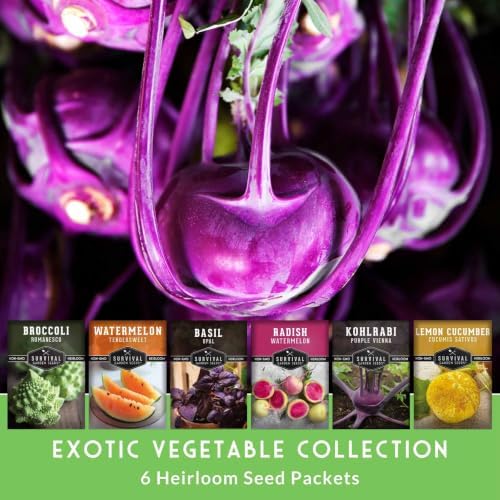 Rare Exotic Vegetable & Fruit Seeds for Planting – 6 Variety Heirloom Pack - Image 3
