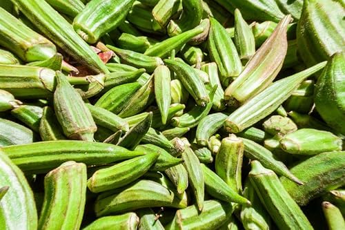 Organic Clemson Spineless Okra (Abelmoschus esculentus) 250 Seeds (25 Grams) - Common Ivy, Gobbo, Gumbo, Ivy Gum Plant, Ladies' Fingers, Ochro, Okra, Okro by Smoke Camp Crafts - Image 3