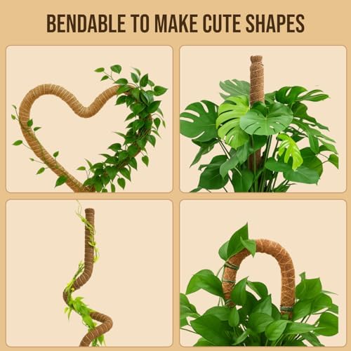 Craft911 29" Moss Pole Monstera Plant Support, Indoor Plant Stakes - Image 6