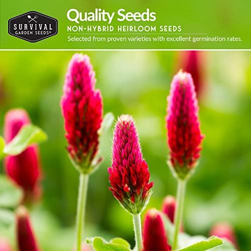 Clover Seeds 2 Variety Pack for Planting - Crimson & Dutch White - Image 3