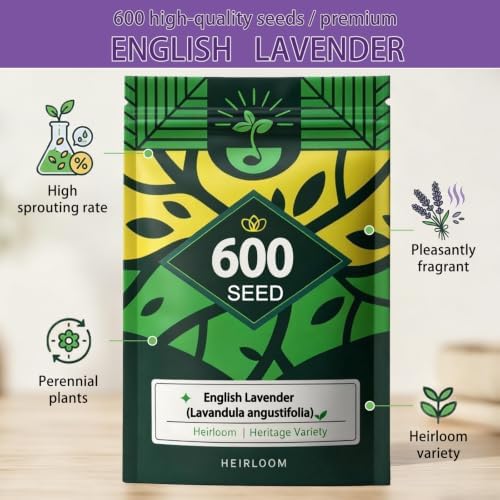 English Lavender Seeds, Fragrant Perennial Herb Lavandula, Easy to Grow - Image 2