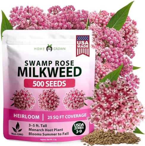 HOME GROWN Milkweed Seeds, Swamp Rose, 500 Seeds, Asclepias incarnata by HOMEGROWN