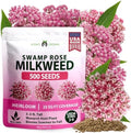 HOME GROWN Milkweed Seeds, Swamp Rose, 500 Seeds, Asclepias incarnata by HOMEGROWN