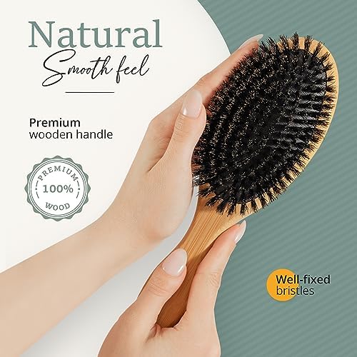Belula 100% Boar Bristle Hair Brush Set, Large, for Thin & Fine Hair - Image 4