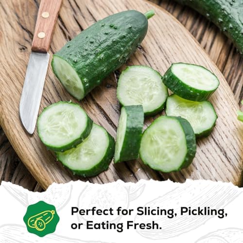 Marketmore Cucumber Seeds for Planting - 100 Heirloom Seed Packet - High Yield Slicing Cucumber for Home Garden, Indoor/Outdoor - Image 6
