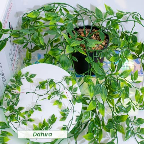 LOYWREE 2 Pack Artificial Hanging Mandala Plant with Pot Faux Plants Indoor Fake Small Potted Plant 28.7-in Long Faux Vine Shelf Decor Ideal for Indoor Outdoor Home Office Decoration (Black Pot) - Image 3