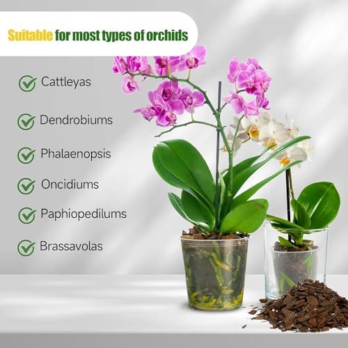 Organic Orchid Potting Mix 4qt, Mixture of Orchid Bark and Perlite, Specifically Formulated for Orchids - Image 4