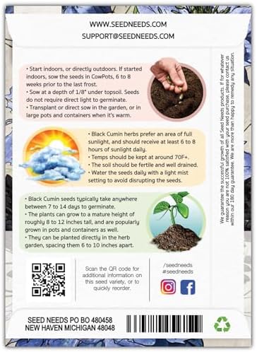 Seed Needs Black Cumin Seeds to Plant an Herb Garden - 2 Packs - Image 2