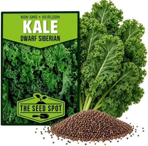 6000+ Dwarf Kale Seeds for Planting -Heirloom Non GMO by Unknown