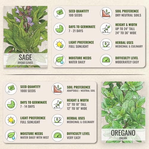 Seed Needs Herb Seeds Variety Pack of 5 - Italian Herbs Non-GMO & Heirloom - Image 6