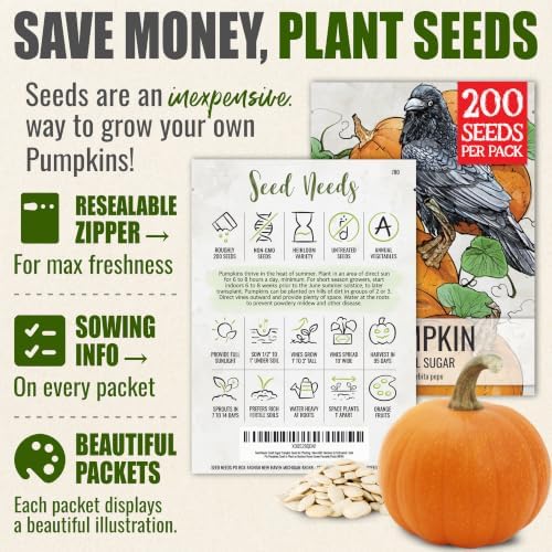 Seed Needs Small Sugar Pumpkin Seeds to Plant Vegetables - Bulk Pack - Image 3