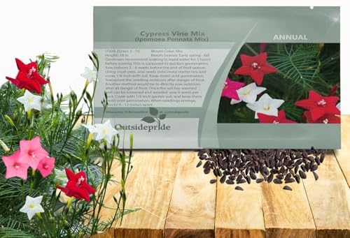 Outsidepride Mixed Cypress Vine Seeds - 100 Pcs Annual Flower Seeds with Nectar-Rich, Star-Shaped Flowers & Feathery, Fern-Like Leaves for Fences, Trellises, Pergolas & Vertical Gardens by Outsidepride