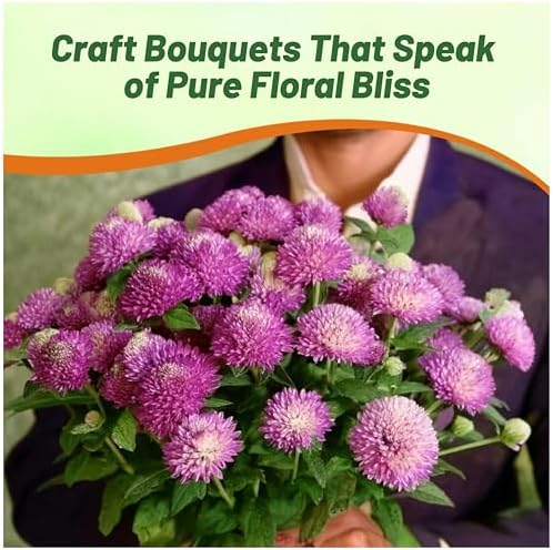 Outsidepride Rose Gomphrena Seeds - 1000 Pcs Annual, Heat & Drought Tolerant, Pollinator Friendly Globe Amaranth Seeds for Planting w/Vibrant Round Blooms for Beds, Borders, and Arrangements - Image 6