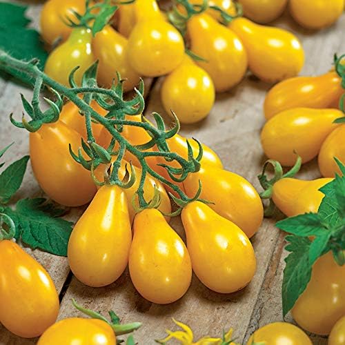 Park Seed Cherry Tomato Seeds, Planting Vegetables, Easy to Grow, Non-GMO, Variety of Colors and Sizes, Spring Garden, Yellow Pear Organic, Pack of 30 by ParkSeed