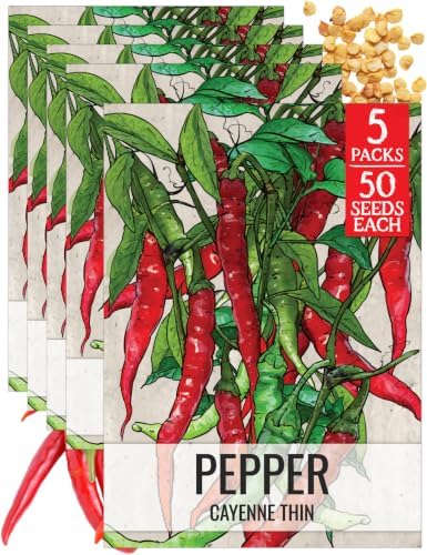 Seed Needs Thin Cayenne Pepper Seeds to Plant Vegetables - 5 Packs by SeedNeeds